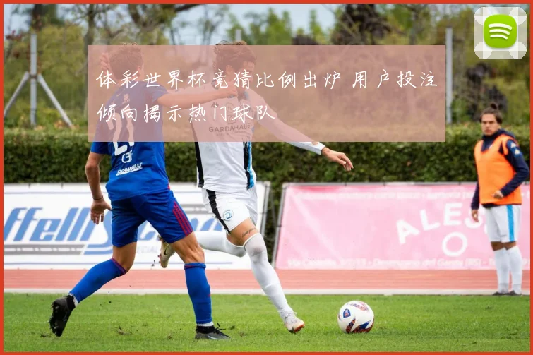体彩世界杯竞猜比例出炉 用户投注倾向揭示热门球队