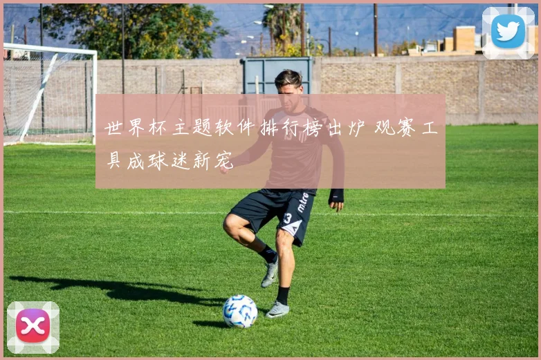 世界杯主题软件排行榜出炉 观赛工具成球迷新宠