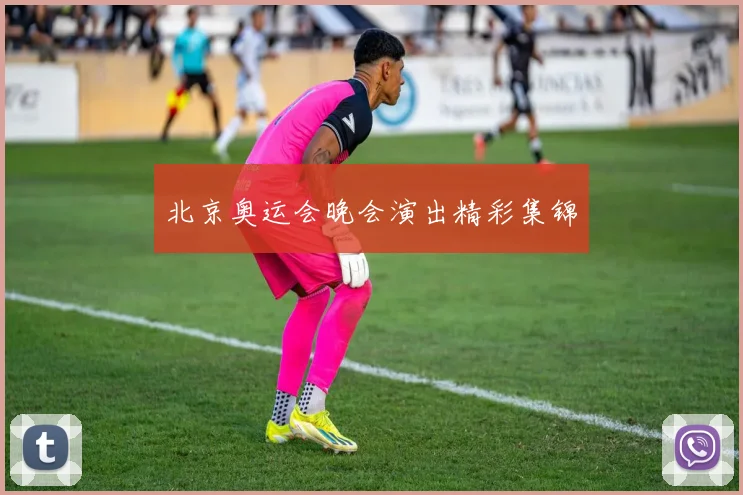 北京奥运会晚会演出精彩集锦