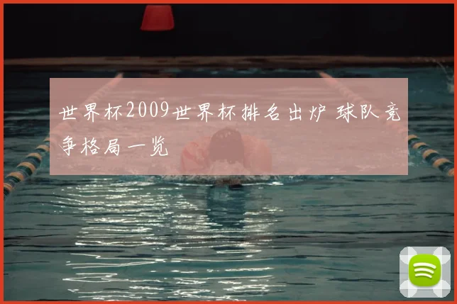 世界杯2009世界杯排名出炉 球队竞争格局一览